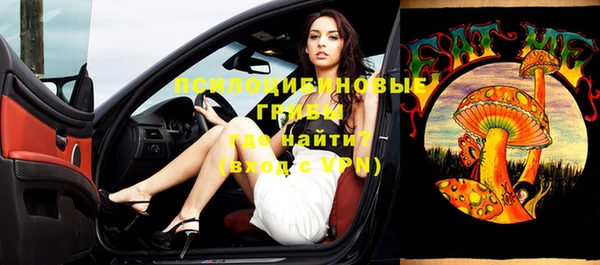 прущая мука Гусиноозёрск