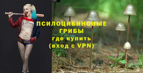 прущая мука Гусиноозёрск